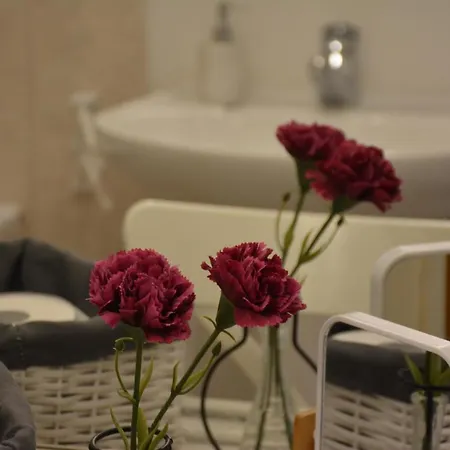 Birimisa Island מלון דירות 3*