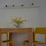 Birimisa Island Aparthotel 4*