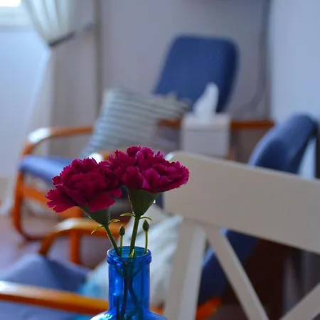 Birimisa Island 3* Lopud